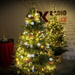 12.12.2017 Kielce. "Choinka pod Choinkę". Drzewko ufundowane przez biskupa sandomierskiego Krzysztofa Nitkiewicza / Jarosław Kubalski / Radio Kielce