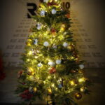 12.12.2017 Kielce. "Choinka pod Choinkę". Drzewko ufundowane przez biskupa sandomierskiego Krzysztofa Nitkiewicza / Jarosław Kubalski / Radio Kielce