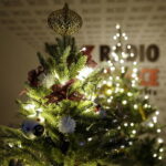 12.12.2017 Kielce. "Choinka pod Choinkę". Drzewko ufundowane przez biskupa sandomierskiego Krzysztofa Nitkiewicza / Jarosław Kubalski / Radio Kielce