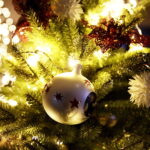 12.12.2017 Kielce. "Choinka pod Choinkę". Drzewko ufundowane przez biskupa sandomierskiego Krzysztofa Nitkiewicza / Jarosław Kubalski / Radio Kielce