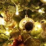 12.12.2017 Kielce. "Choinka pod Choinkę". Drzewko ufundowane przez biskupa sandomierskiego Krzysztofa Nitkiewicza / Jarosław Kubalski / Radio Kielce