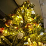 12.12.2017 Kielce. "Choinka pod Choinkę". Drzewko ufundowane przez biskupa sandomierskiego Krzysztofa Nitkiewicza / Jarosław Kubalski / Radio Kielce