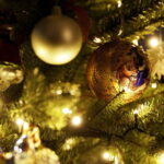 12.12.2017 Kielce. "Choinka pod Choinkę". Drzewko ufundowane przez biskupa sandomierskiego Krzysztofa Nitkiewicza / Jarosław Kubalski / Radio Kielce