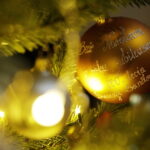 12.12.2017 Kielce. "Choinka pod Choinkę". Drzewko ufundowane przez biskupa sandomierskiego Krzysztofa Nitkiewicza / Jarosław Kubalski / Radio Kielce