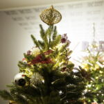 12.12.2017 Kielce. "Choinka pod Choinkę". Drzewko ufundowane przez biskupa sandomierskiego Krzysztofa Nitkiewicza / Jarosław Kubalski / Radio Kielce