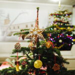 13.12.2017 Kielce. "Choinka pod choinkę" w Radiu Kielce. Drzewko ze Świętego Krzyża / Jarosław Kubalski / Radio Kielce