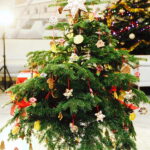 13.12.2017 Kielce. "Choinka pod choinkę" w Radiu Kielce. Drzewko ze Świętego Krzyża / Jarosław Kubalski / Radio Kielce