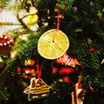 13.12.2017 Kielce. "Choinka pod choinkę" w Radiu Kielce. Drzewko ze Świętego Krzyża / Jarosław Kubalski / Radio Kielce