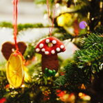 13.12.2017 Kielce. "Choinka pod choinkę" w Radiu Kielce. Drzewko ze Świętego Krzyża / Jarosław Kubalski / Radio Kielce