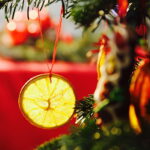 13.12.2017 Kielce. "Choinka pod choinkę" w Radiu Kielce. Drzewko ze Świętego Krzyża / Jarosław Kubalski / Radio Kielce