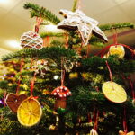 13.12.2017 Kielce. "Choinka pod choinkę" w Radiu Kielce. Drzewko ze Świętego Krzyża / Jarosław Kubalski / Radio Kielce