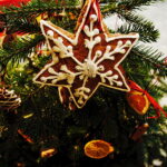 13.12.2017 Kielce. "Choinka pod choinkę" w Radiu Kielce. Drzewko ze Świętego Krzyża / Jarosław Kubalski / Radio Kielce