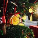 13.12.2017 Kielce. "Choinka pod choinkę" w Radiu Kielce. Drzewko ze Świętego Krzyża / Jarosław Kubalski / Radio Kielce