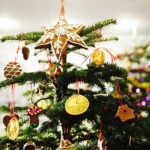 13.12.2017 Kielce. "Choinka pod choinkę" w Radiu Kielce. Drzewko ze Świętego Krzyża / Jarosław Kubalski / Radio Kielce