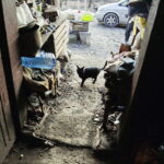 13.12.2017 Rataje Słupskie. Czesław Zdzisław i Leokadia Ścióg dostali domek od Caritas. Ich stary grozi zawaleniem / Jarosław Kubalski / Radio Kielce