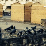 14.12.2017 Kielce. Przygotowania do Jarmarku Bożonarodzeniowego na Rynku / Jarosław Kubalski / Radio Kielce