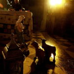 18.12.2017 Święty Krzyż. Rozpoczął się montaż szopki Bożonarodzeniowej / Jarosław Kubalski / Radio Kielce