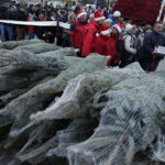 19.12.2017 Sandomierz. Radio Kielce rozdaje choinki na święta / Jarosław Kubalski / Radio Kielce