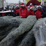 19.12.2017 Sandomierz. Radio Kielce rozdaje choinki na święta / Jarosław Kubalski / Radio Kielce