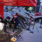 19.12.2017 Sandomierz. Radio Kielce rozdaje choinki na święta / Jarosław Kubalski / Radio Kielce