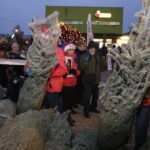 19.12.2017 Sandomierz. Radio Kielce rozdaje choinki na święta / Jarosław Kubalski / Radio Kielce