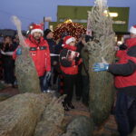 19.12.2017 Sandomierz. Radio Kielce rozdaje choinki na święta / Jarosław Kubalski / Radio Kielce