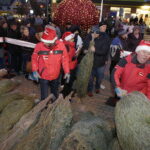 19.12.2017 Sandomierz. Radio Kielce rozdaje choinki na święta / Jarosław Kubalski / Radio Kielce