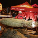 19.12.2017 Sandomierz. Radio Kielce rozdaje choinki na święta / Jarosław Kubalski / Radio Kielce