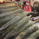 20.12.2017 Jędrzejów. Radio Kielce rozdaje choinki na święta / Jarosław Kubalski / Radio Kielce