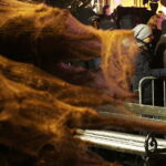 20.12.2017 Jędrzejów. Radio Kielce rozdaje choinki na święta / Jarosław Kubalski / Radio Kielce