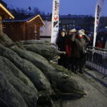 21.12.2017 Ostrowiec Świętokrzyski. Radio Kielce rozdaje choinki na święta / Jarosław Kubalski / Radio Kielce