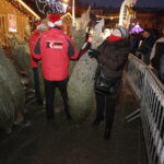 21.12.2017 Ostrowiec Świętokrzyski. Radio Kielce rozdaje choinki na święta / Jarosław Kubalski / Radio Kielce