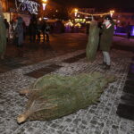 21.12.2017 Ostrowiec Świętokrzyski. Radio Kielce rozdaje choinki na święta / Jarosław Kubalski / Radio Kielce