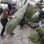 Sprzedaż choinek na bazarach / Jarosław Kubalski / Radio Kielce