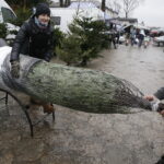 Sprzedaż choinek na bazarach / Jarosław Kubalski / Radio Kielce