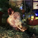 25.12.2017 Święty Krzyż. Klasztor. Szopka bożonarodzeniowa / Jarosław Kubalski / Radio Kielce