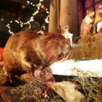 25.12.2017 Święty Krzyż. Klasztor. Szopka bożonarodzeniowa / Jarosław Kubalski / Radio Kielce