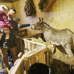 25.12.2017 Święty Krzyż. Klasztor. Żywa szopka bożonarodzeniowa / Jarosław Kubalski / Radio Kielce