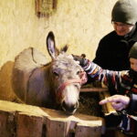 25.12.2017 Święty Krzyż. Klasztor. Żywa szopka bożonarodzeniowa / Jarosław Kubalski / Radio Kielce