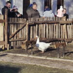 26.12.2017 Chęciny. Żywa szopka w zespole klasztornym franciszkanów / Jarosław Kubalski / Radio Kielce