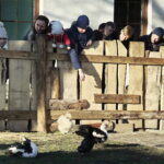 26.12.2017 Chęciny. Żywa szopka w zespole klasztornym franciszkanów / Jarosław Kubalski / Radio Kielce