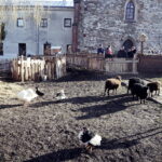 26.12.2017 Chęciny. Żywa szopka w zespole klasztornym franciszkanów / Jarosław Kubalski / Radio Kielce