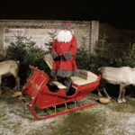 20.12.2017 Jędrzejów. Żywe renifery na świątecznym kiermaszu / Jarosław Kubalski / Radio Kielce