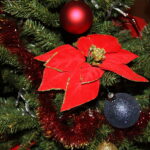 06.12.2017 Suchedniów. "Choinka pod Choinkę" . Młodzież z Katolickiego Stowarzyszenia Młodzieży w Suchedniowie i ksiądz Grzegorz Łabądź ubierają choinkę przekazaną przez biskupa diecezji radomskiej Henryka Tomasika na rzecz licytacji / Krzysztof Bujnowicz / Radio Kielce