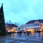 Choinka na Rynku kieleckim / Marzena Mąkosa / Radio Kielce