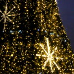 Choinka na Rynku kieleckim / Marzena Mąkosa / Radio Kielce