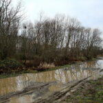 Ulica Kolejarzy / Marzena Mąkosa / Radio Kielce