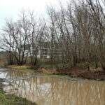 Ulica Kolejarzy / Marzena Mąkosa / Radio Kielce