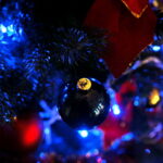 „Choinka pod choinkę” / Marzena Mąkosa / Radio Kielce