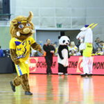 Mistrzowie Polski szukają osoby, która wcielać się będzie w Kiełka